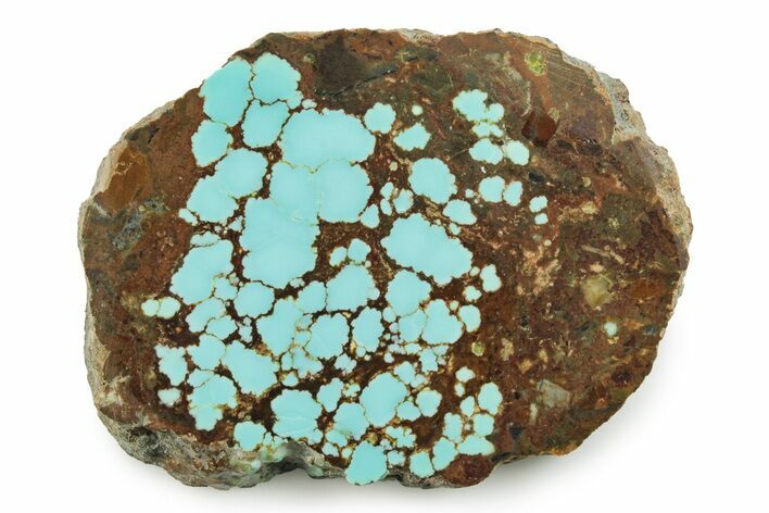 Polished Turquoise Slab - Number Mine, Carlin, NV #245502